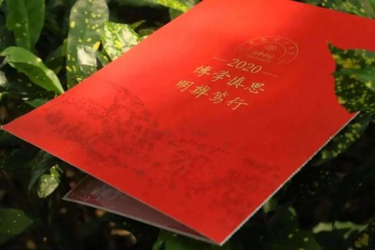 这些录取通知书让人眼前一亮又一亮_录取通知书前会打电话吗_录取通知书被人看见会怎么样