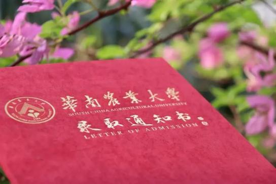 录取通知书前会打电话吗_这些录取通知书让人眼前一亮又一亮_录取通知书被人看见会怎么样