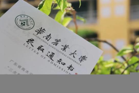 录取通知书被人看见会怎么样_录取通知书前会打电话吗_这些录取通知书让人眼前一亮又一亮