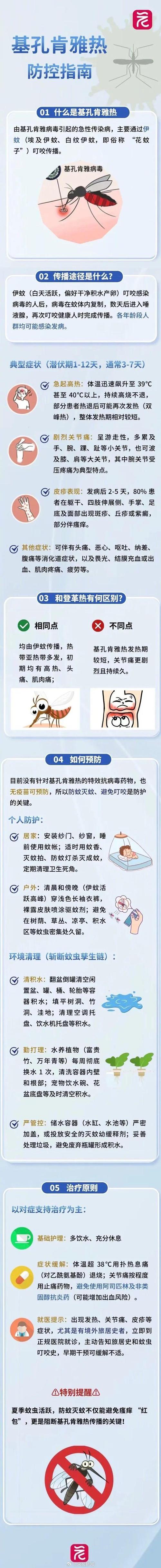 世卫组织发警报！一文读懂基孔肯雅热究竟是什么？__世卫组织发警报！一文读懂基孔肯雅热究竟是什么？