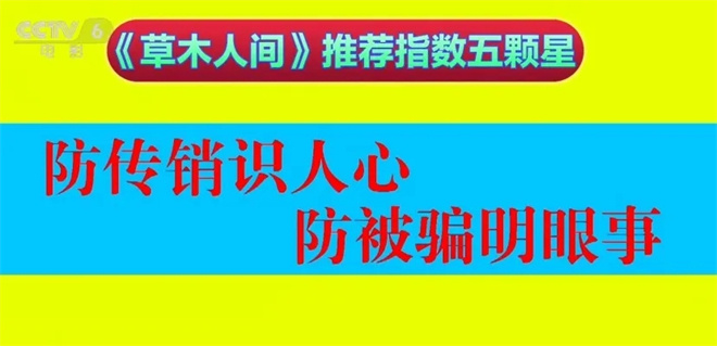 今日影评|《草木人间》：诗意表达下的反传销指南_今日影评|《草木人间》：诗意表达下的反传销指南_