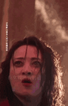 今日影评|《草木人间》：诗意表达下的反传销指南_今日影评|《草木人间》：诗意表达下的反传销指南_