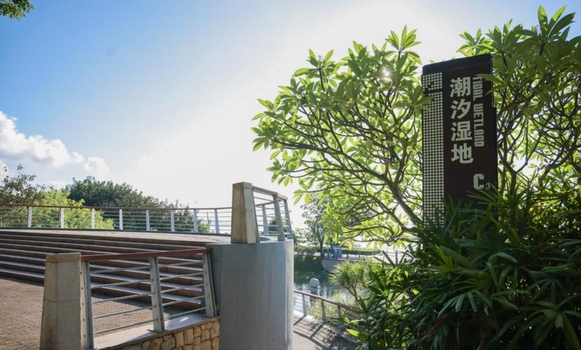 深圳湾潮汐湿地公园“焕新行动”9月结束