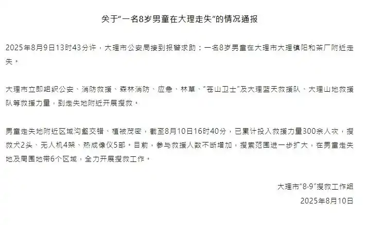 大理通报“一名8岁男童在大理走失”情况，已累计投入救援力量300余人次开展搜救
