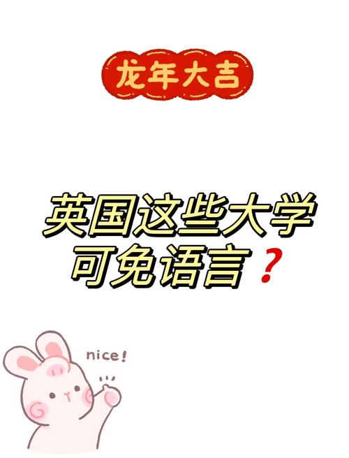 _英国南安普顿大学成绩_降低门槛英语