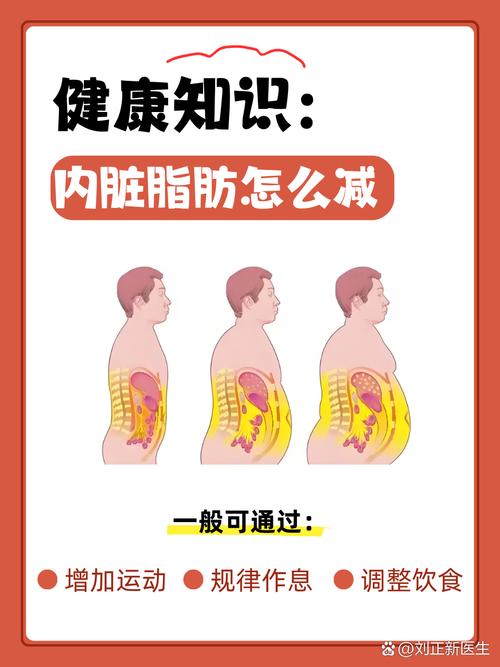 脂肪型内脏__内脏脂肪影响性功能