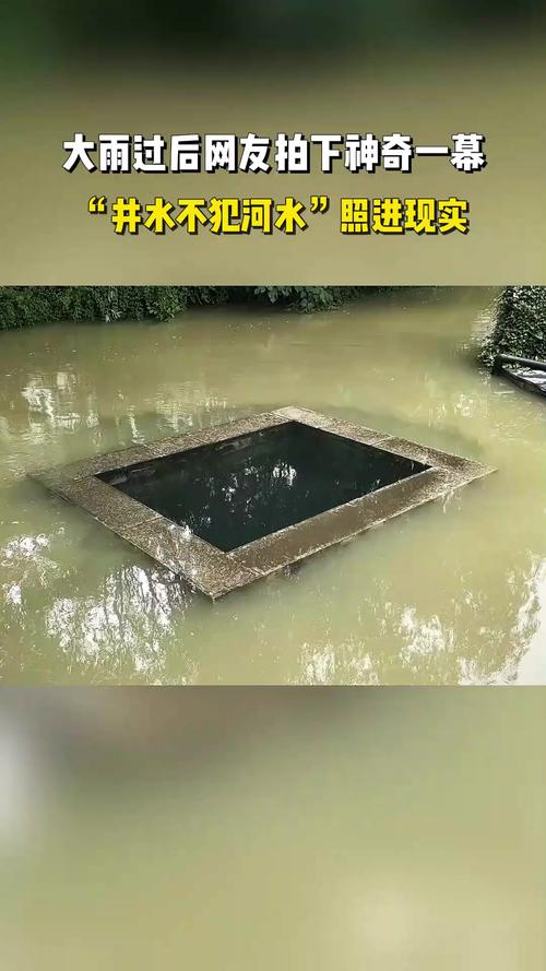 大雨过后“井水不犯河水”照进现实，网友：老祖宗没骗我们__大雨过后“井水不犯河水”照进现实，网友：老祖宗没骗我们