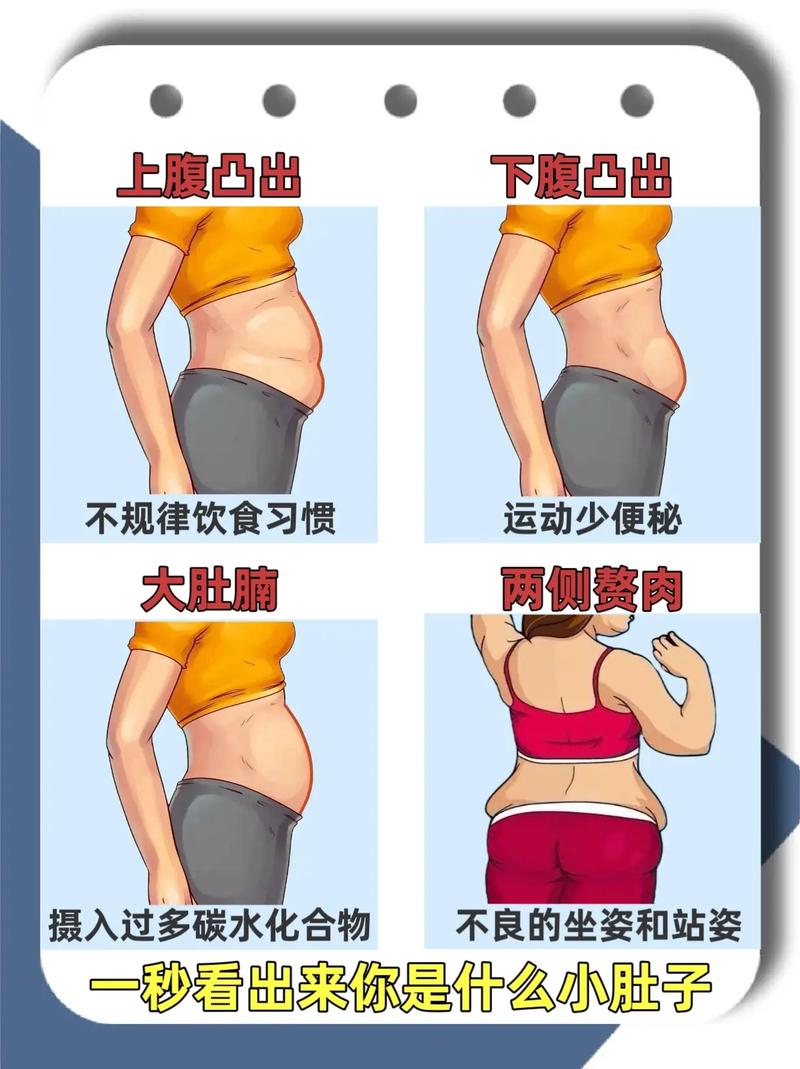 _内脏脂肪皮下脂肪还有什么脂肪_脂肪内脏