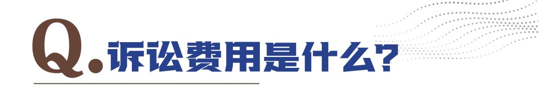 诉讼费用范围 申请费 标准交纳_婚姻调查取证收费