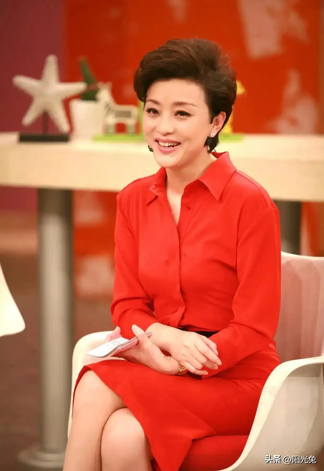 杨澜婚姻选择_杨澜个人经历_杨澜前夫张一兵简介