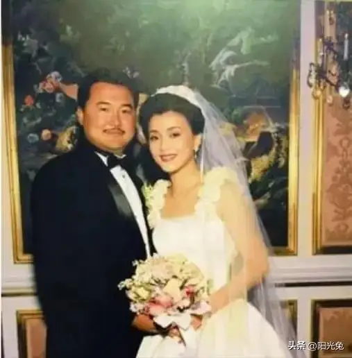 杨澜前夫张一兵简介_杨澜个人经历_杨澜婚姻选择