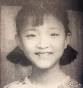 杨澜个人经历_杨澜前夫张一兵简介_杨澜婚姻选择