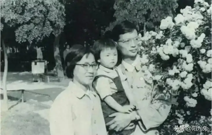 杨澜前夫张一兵简介_杨澜婚姻选择_杨澜个人经历