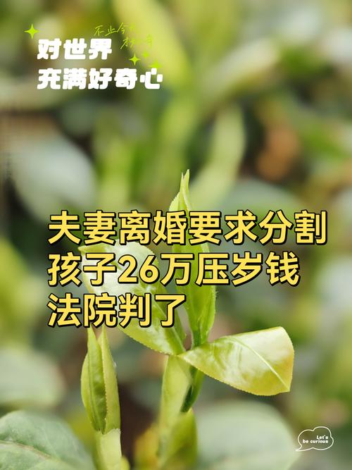 _离婚后拖欠分割款_离婚分割款